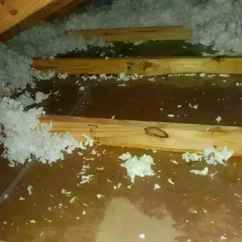 Attic Water Damage in Independence, KS