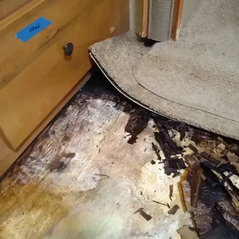 Wood Floor Water Damage in Independence, KS